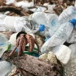 Climate change due to plastic waste !