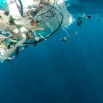 Ocean Bound Plastic