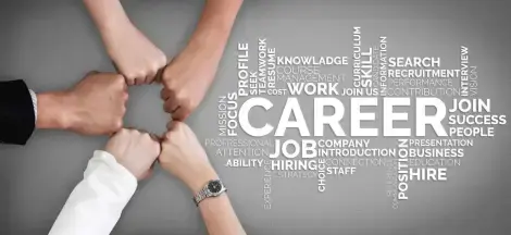 Career