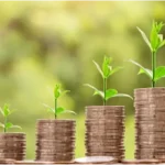 Understanding EPR Credits: How They Benefit Businesses and the Environment