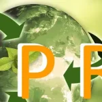 The Evolution of EPR: From Concept to Global Practice