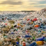 What is Recycled Plastic and How Does It Fit Into the Circular Economy?