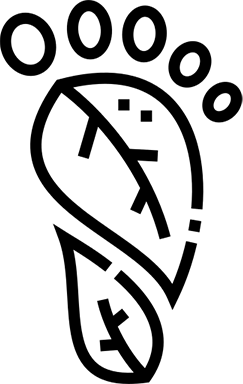 Product Carbon Footprint & LCA